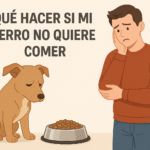 Qué hacer si mi perro no quiere comer: guía rápida
